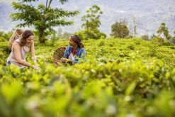 2 week trip around sri lanka