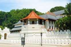 Bahirawakanda Monastery - sri lanka luxury tour