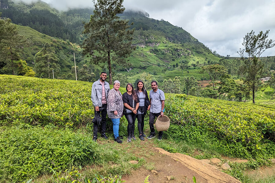 Bluefield Tea Estate - Tea Plantations in Sri Lanka