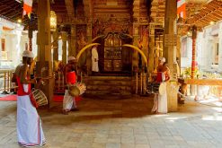 East Coast Sri Lanka local tours - 17 Days