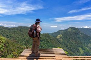 Horton Plains National Park A Complete Guide to Sri Lanka's Scenic Wilderness