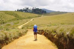 Horton Plains - best sri lanka beach tours