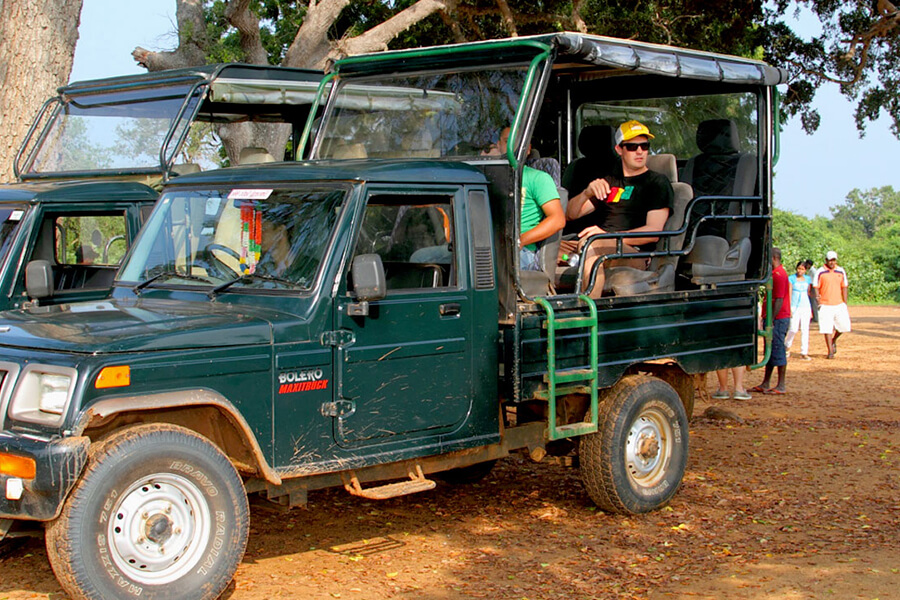 How to choose a safari tour and a Jeep driver in Yala National Park