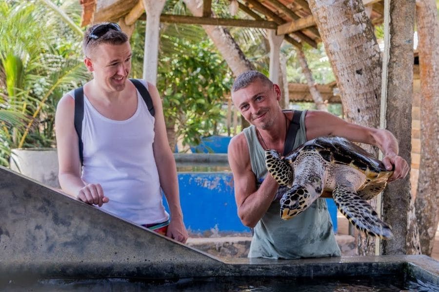 Kosgoda Sea Turtle Conservation - sri lanka tours