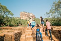 Lion Rock - beach tours in sri lanka