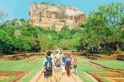 Lion Rock - sri lanka family holiday itinerary