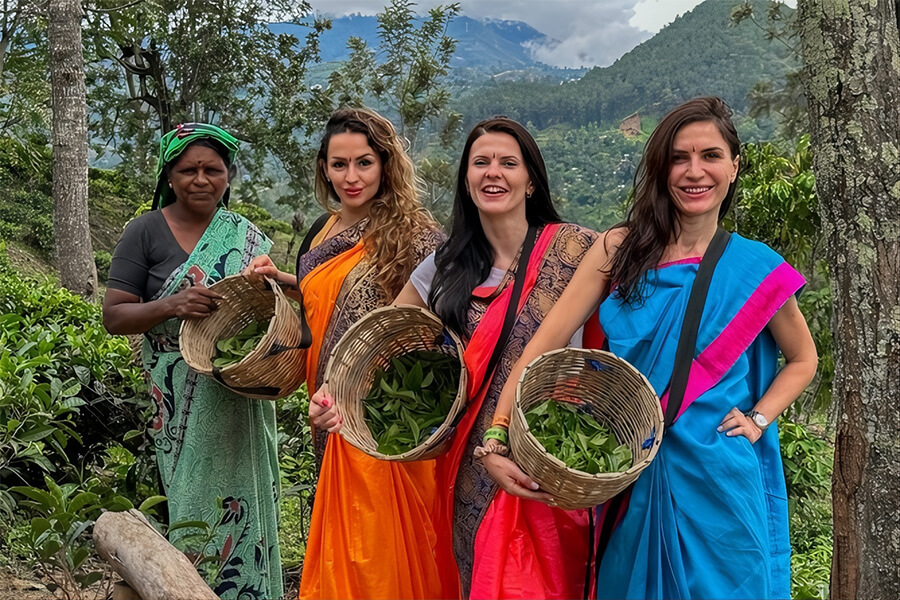 Top 5+ Best Tea Plantations and Tea Factories to Visit in Sri Lanka