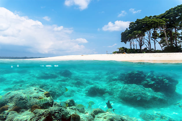 Marine National Park - sri lanka adventure holidays