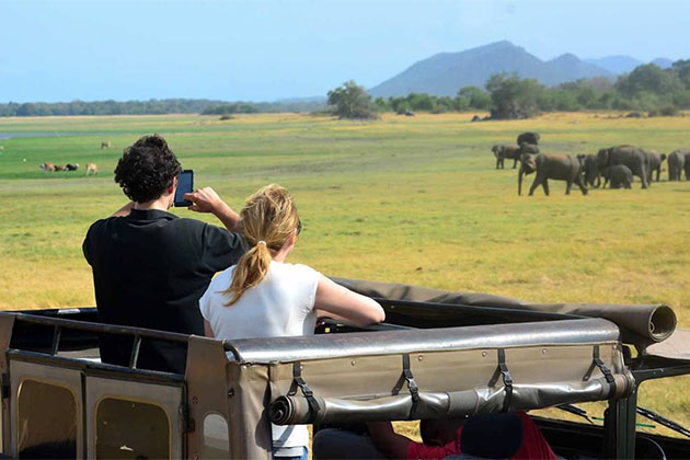 Minneriya National Park Safari Sri Lanka Honeymoon Tour