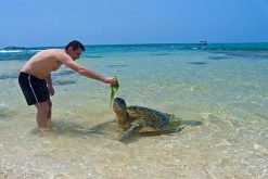 Pasikuda beach - sri lanka beach and tour