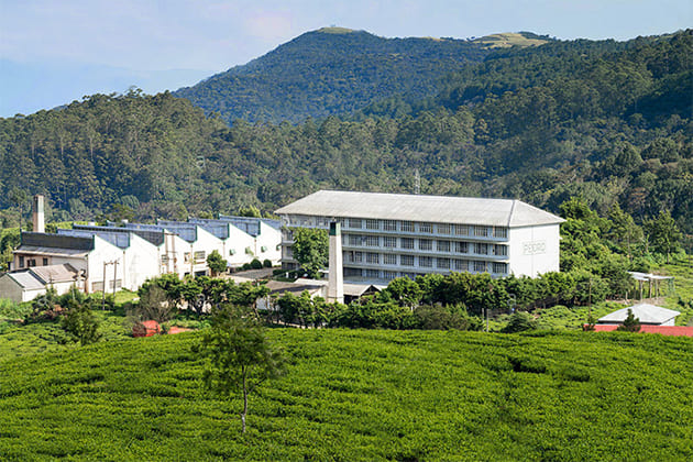 Pedro Tea Factory - sri lanka 14 days tour