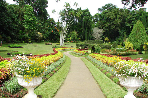 Peradeniya Botanic Gardens