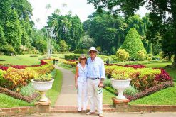 Peradeniya Botanical Gardens