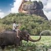 Scenic Sri Lanka Journey - 5 Days