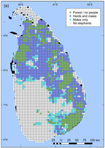 Spotting Wild Elephants in Sri Lanka