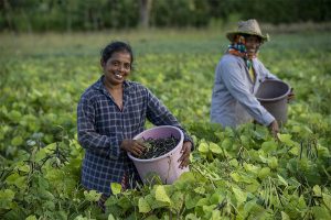 Sri Lanka Economy