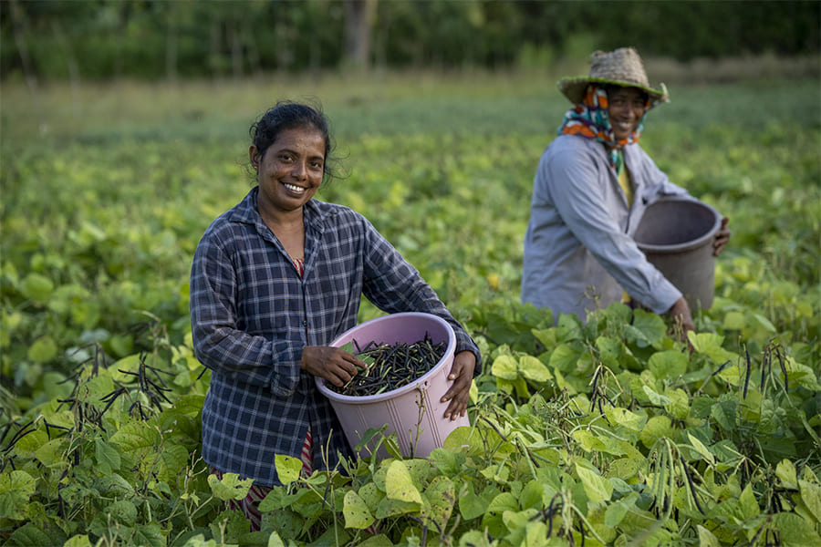 Sri Lanka Economy