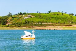 Swan boat trip on Gregory Lake Sri Lanka Honeymoon tour