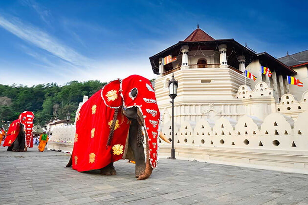 Temple of the Tooth - sri lanka east coast itinerary