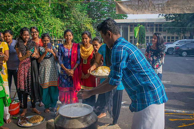 Thai Pongal Festival in Sri Lanka