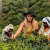 The Splendor of Paradise in Sri Lanka - sri lanka 17 days itinerary