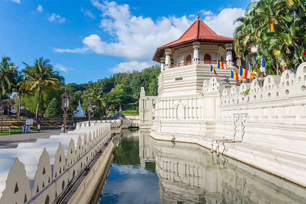 The Temple of the Tooth Relic in Kandy Family Tour