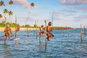 Things to Do and See in Sri Lanka