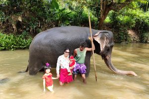Top 4 Places to See Elephants in Sri Lanka
