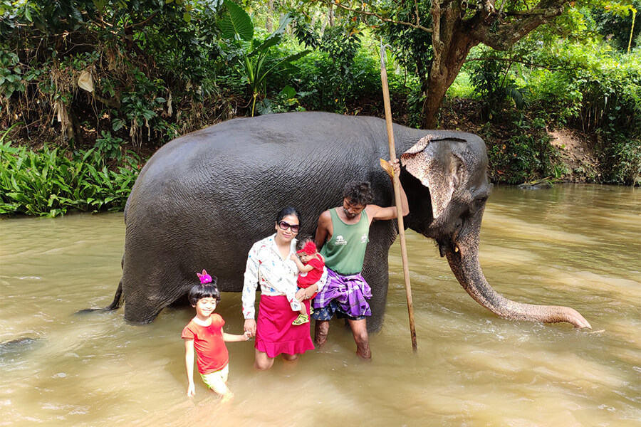 Top 4 Places to See Elephants in Sri Lanka