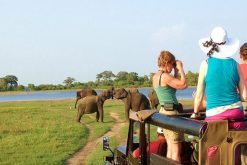 Udawalawa National Park - best sri lanka beach tours