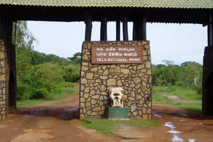 What are the safety tips and rules to follow in Yala National Park