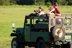 Yala National Park Safari Jeep Family Tour