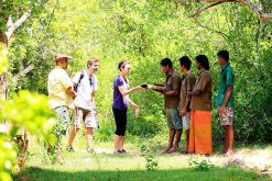 Yala National Park - sri lanka family holiday packages