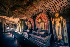 best 3 days 2 nights sri lanka package