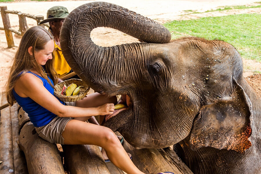 environmental sustainability