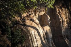 gal viharaya - sri lanka tourist tour