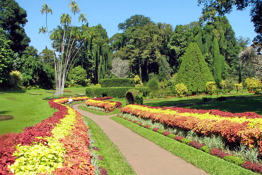 national spice garden in Matale - Sri Lanka 9 days holiday tours