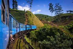 nuwara eliya - sightseeing tours in sri lanka