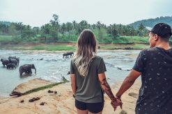 sigiriya - sri lanka honeymoon tour packages