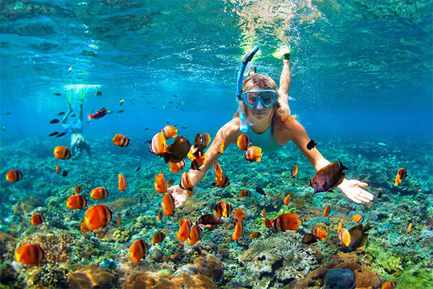 snorkeling - sri lanka tour and beach holiday