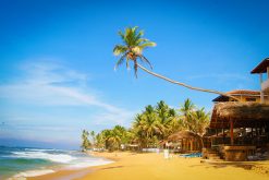 sri lanka 2 week itinerary in Hikkaduwa