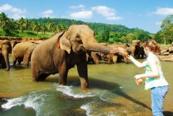 sri lanka 3 nights 4 days package