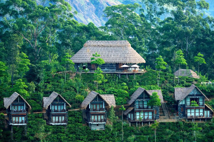 sri lanka accomodation - tour packages sri lanka