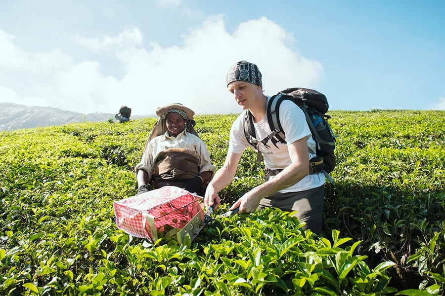 sri lanka day tours
