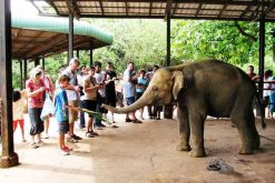 sri lanka family tour package