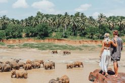 sri lanka honeymoon packages