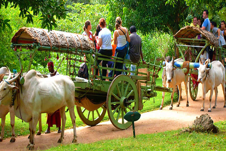 sri lanka health & safety - sri lanka local tour packages