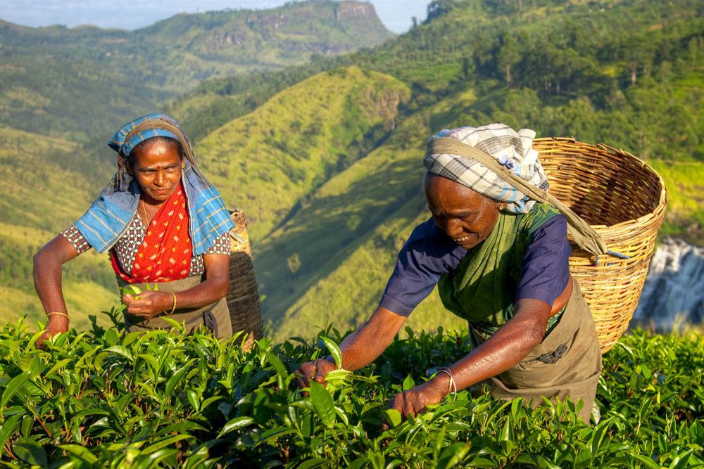 sri lanka local tours are always responsible