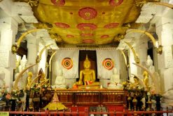 temple of the tooth best tour packages in sri lanka