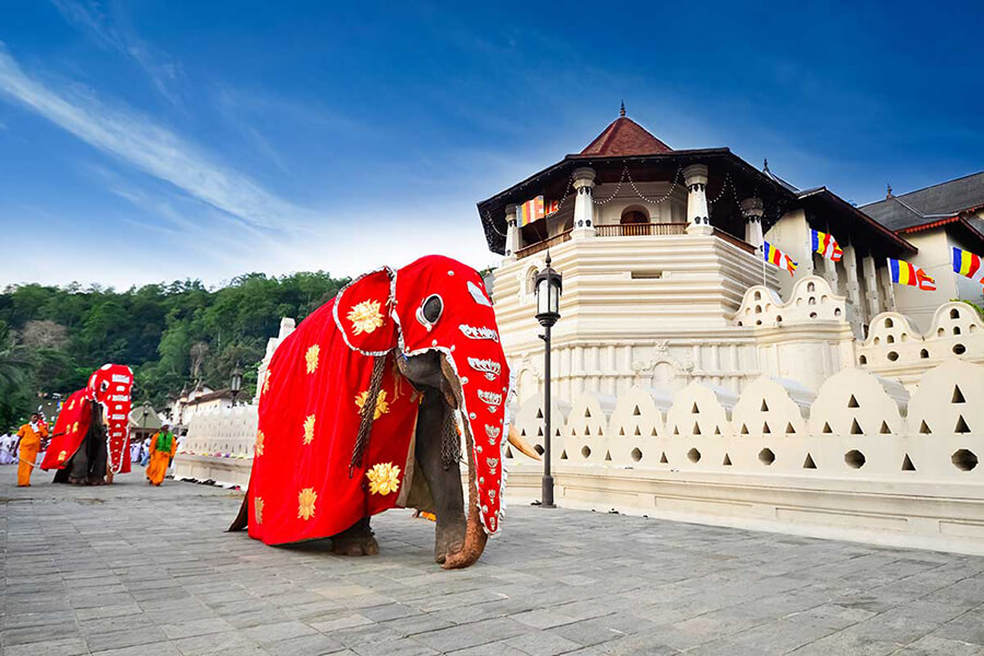 the Tooth of Buddha